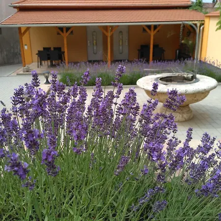 Paradise Apartmanhaz דירה אגר